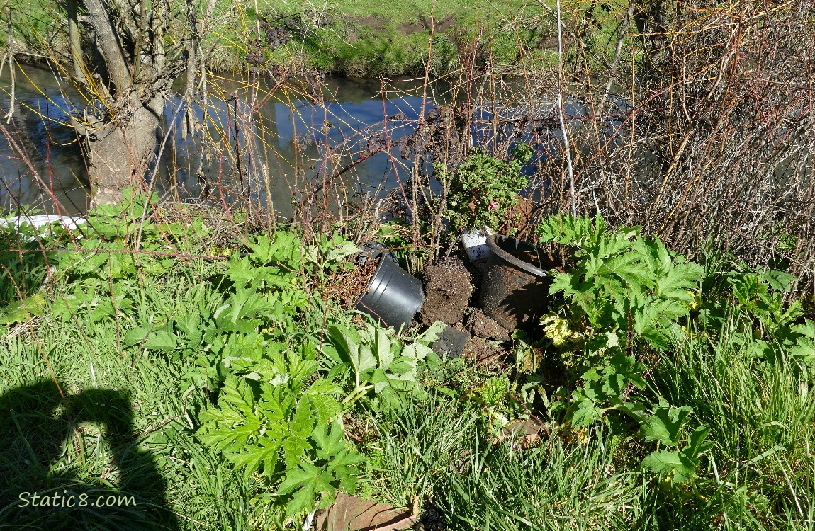 Abandoned pots in the grass near the creek