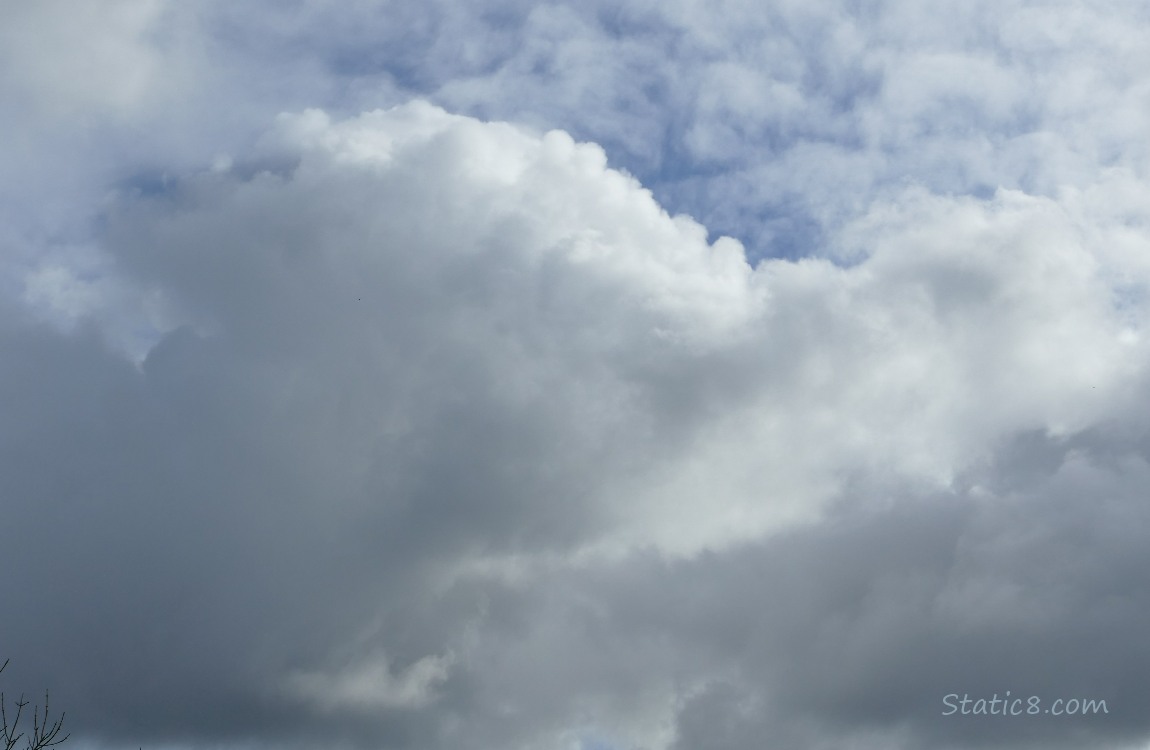 Puffy white cloud