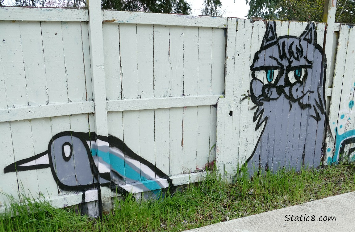 Graffiti of a bird and cat on a white painted wood fence