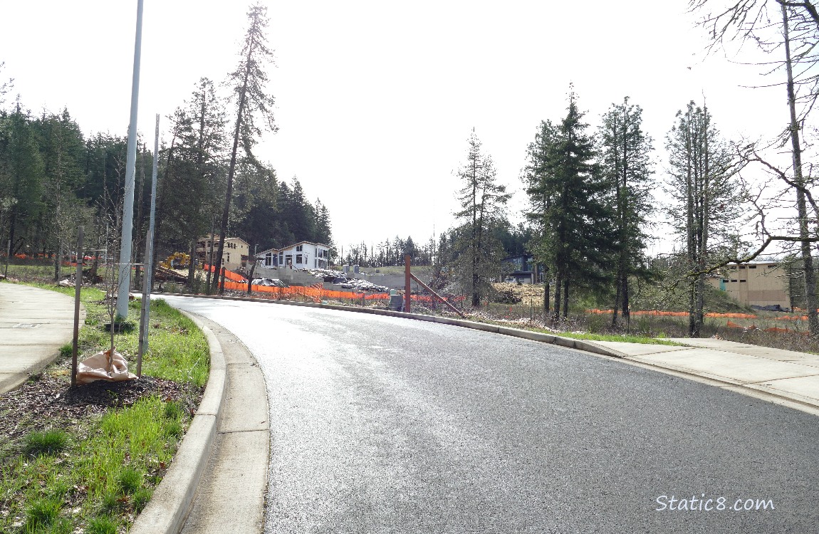 New houses built in the distance