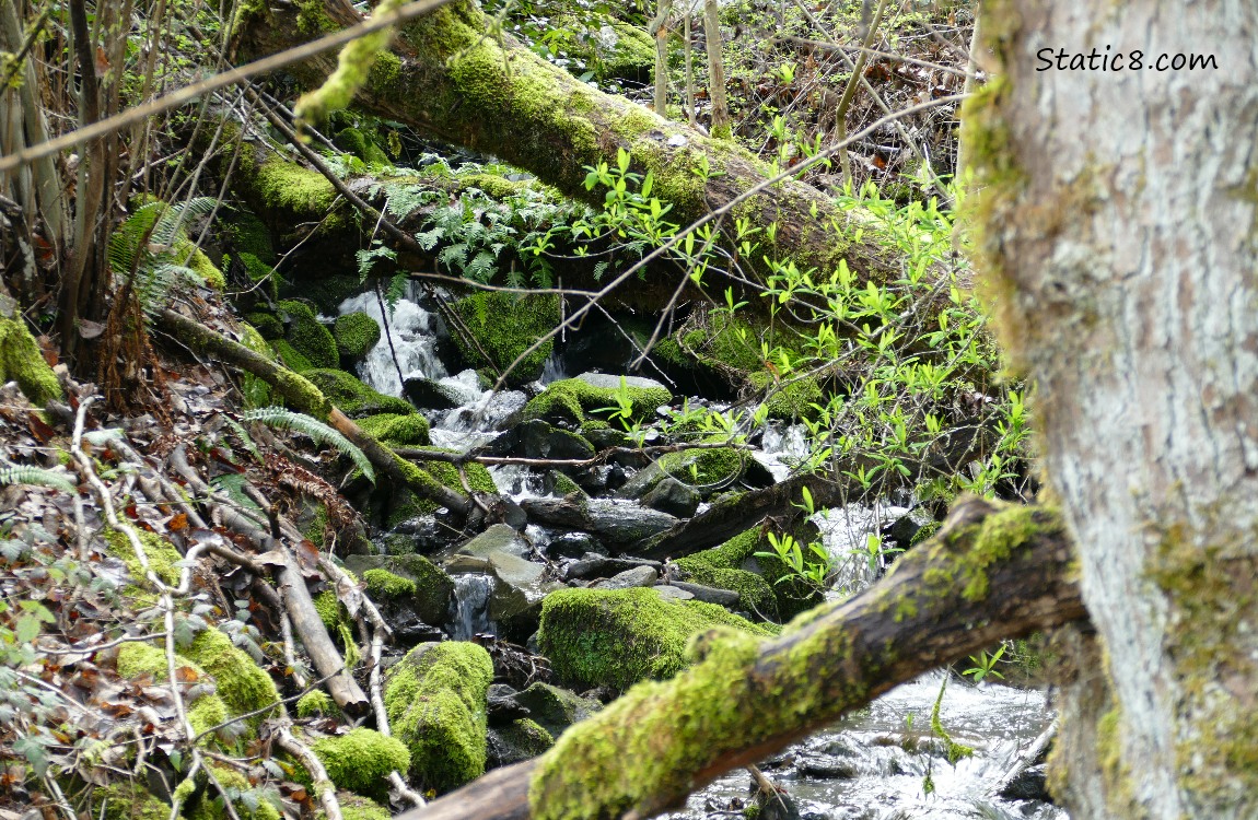 Waterfall in the forest