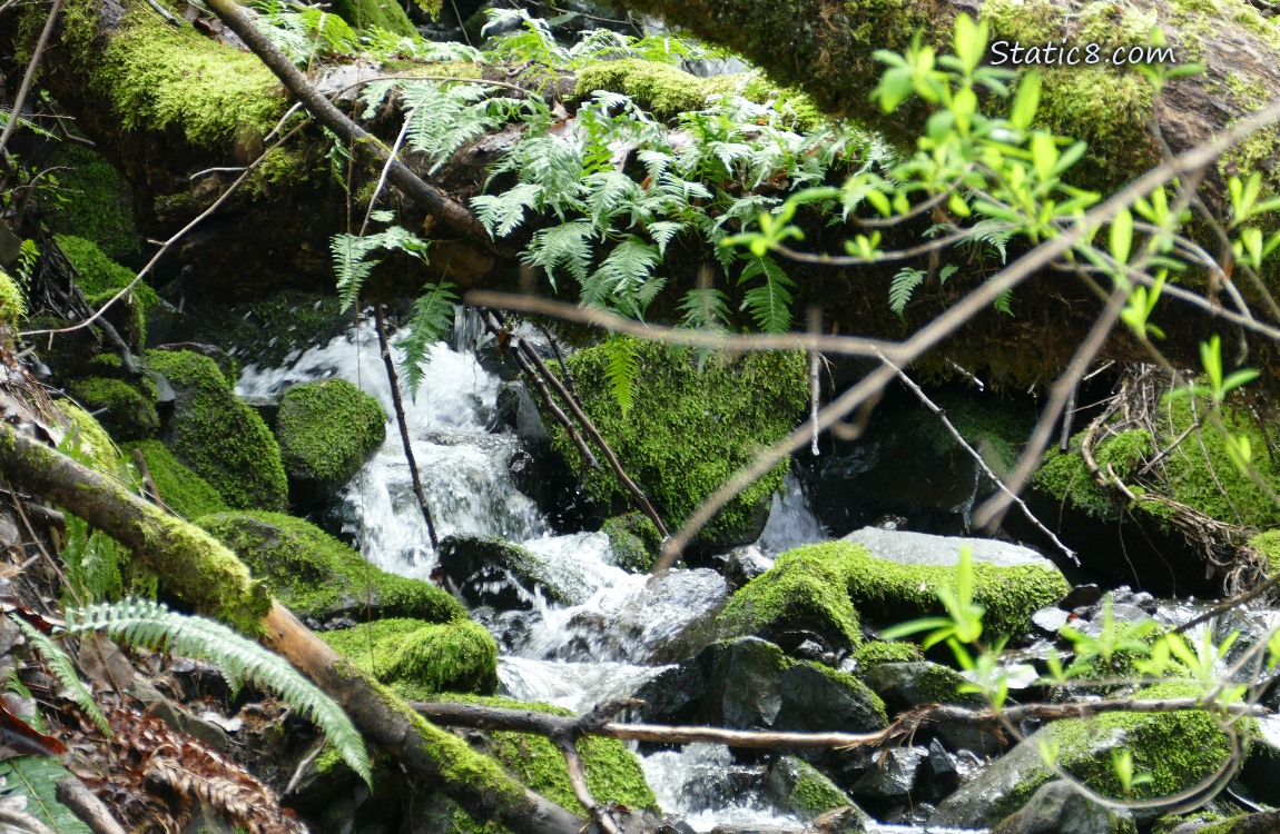 Waterfall tumbling over mossy rocks