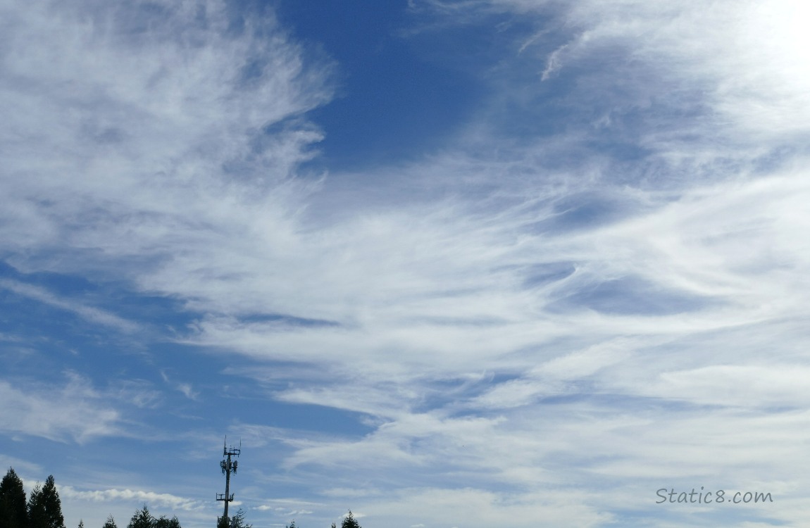 Cirrus clouds in a blue sky