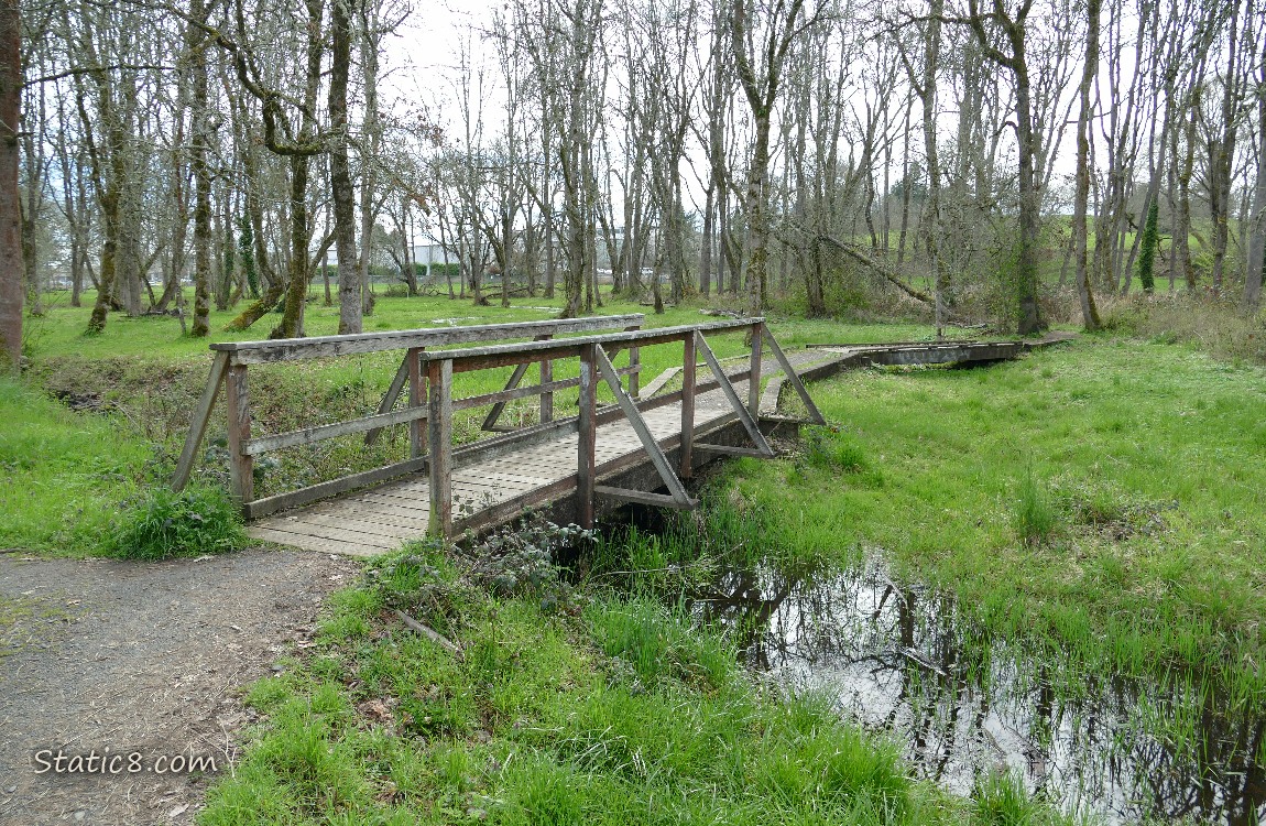 Walking bridge over a ditch filled with water
