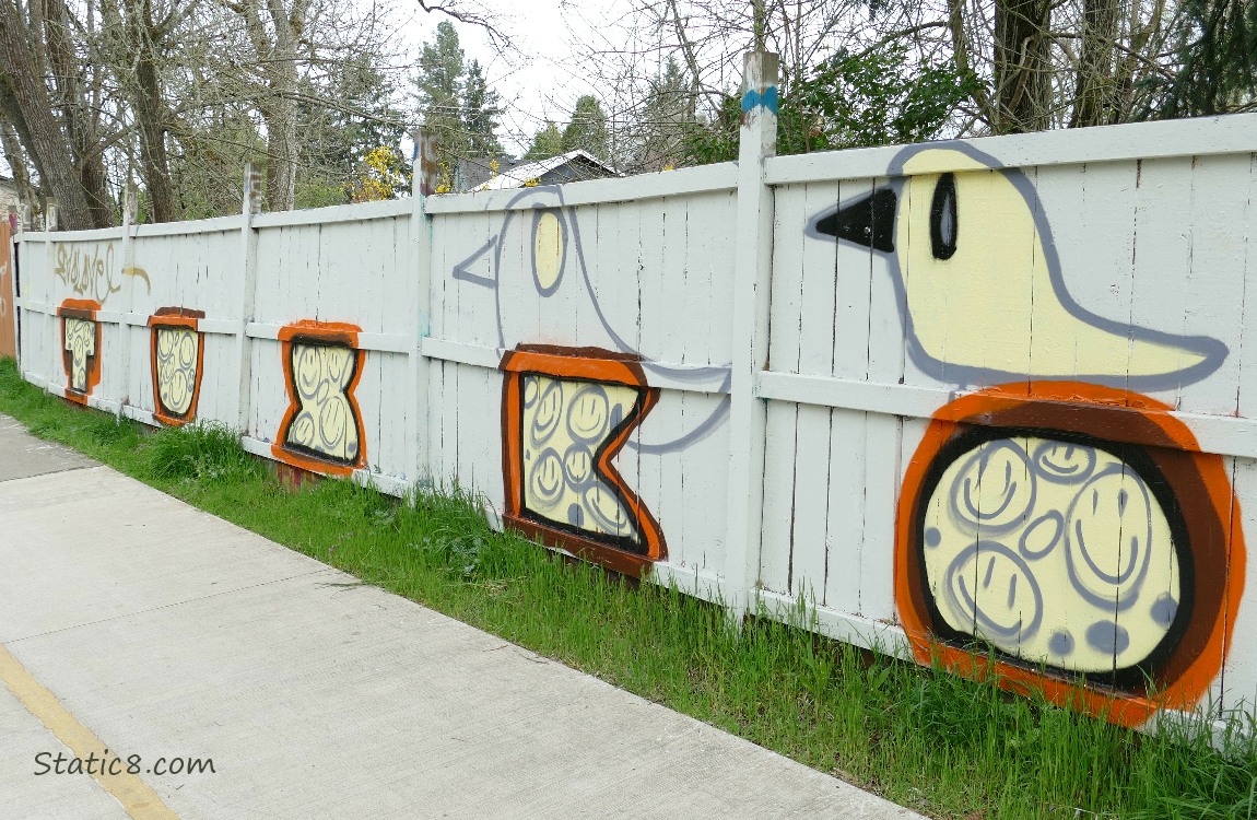 Graffiti on a wood fence