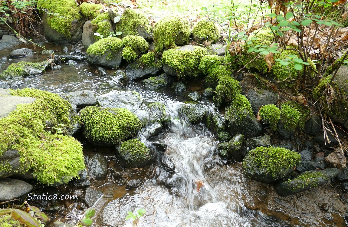 Water falling over mossy rocks