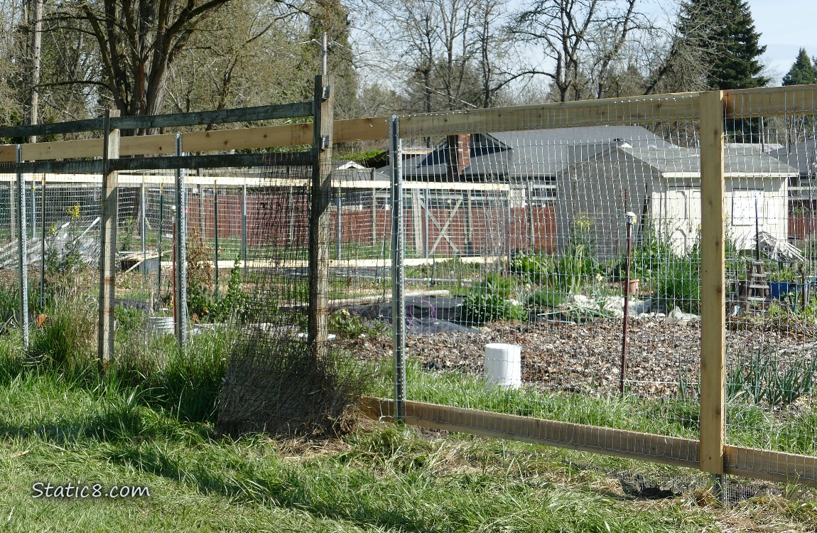 Community Garden fence