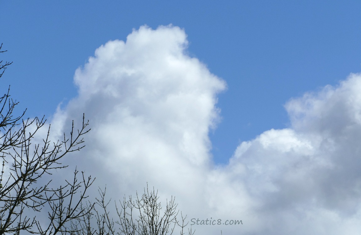 Fluffy cloud in a blue sky