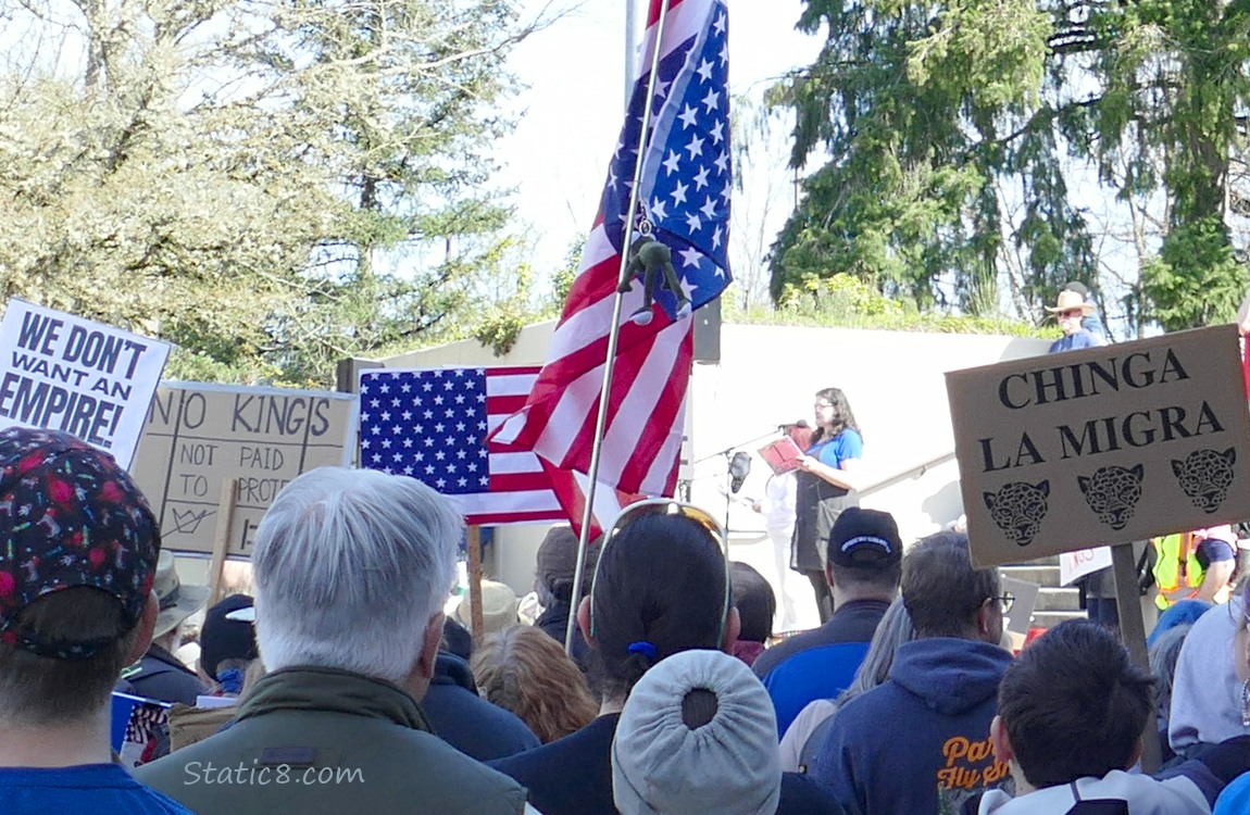 speaker at a protest