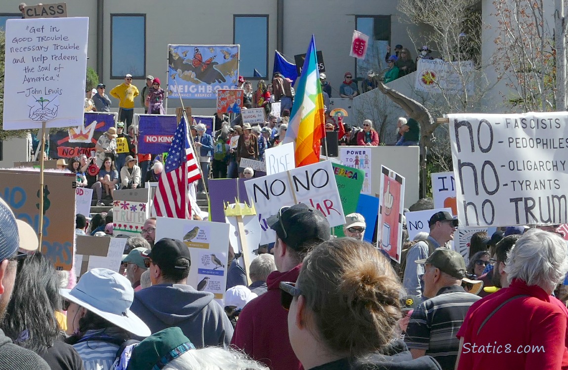 Protesters with signs