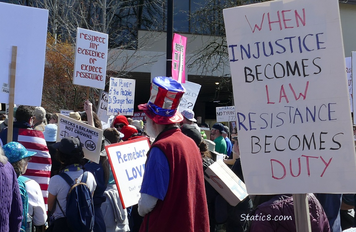 Protesters with signs