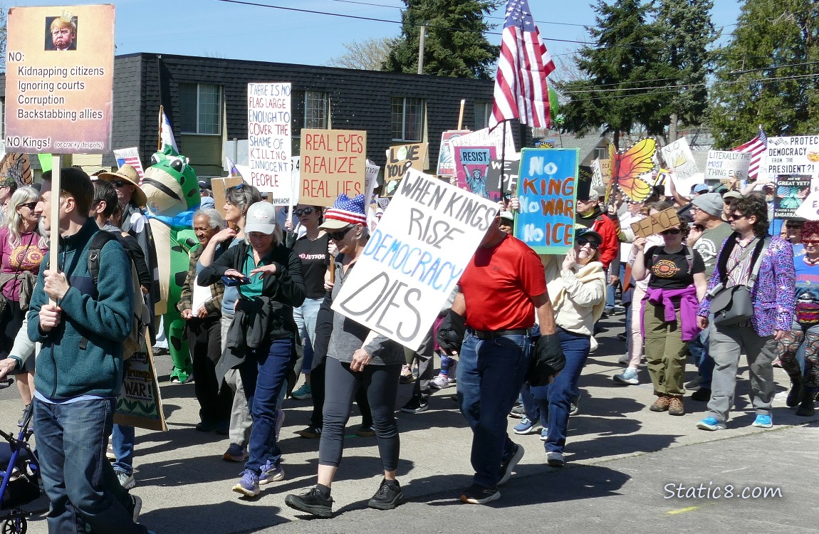 Protesters marching