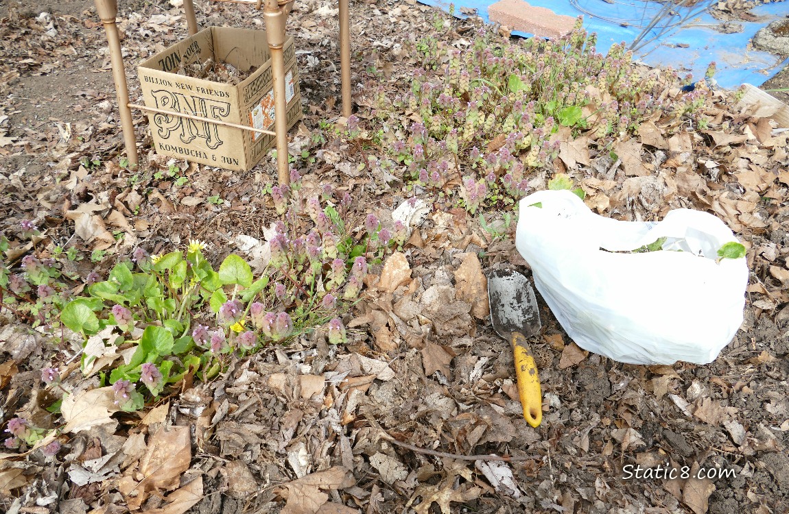 Garden plot