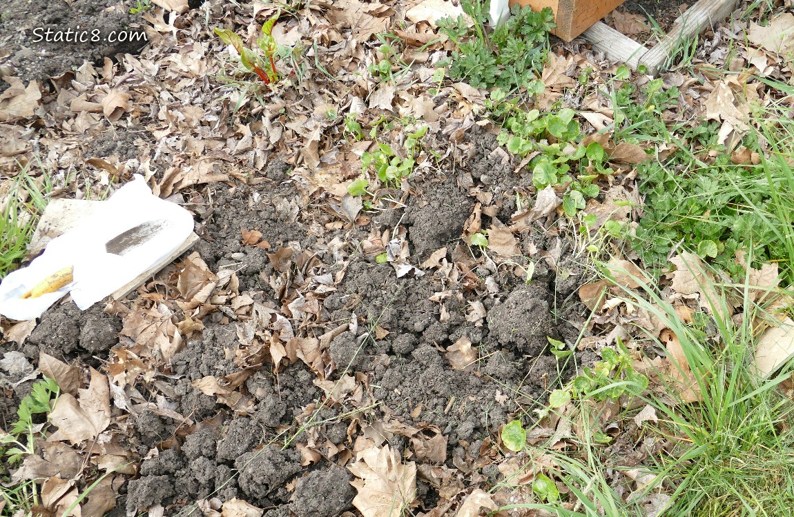 Garden plot