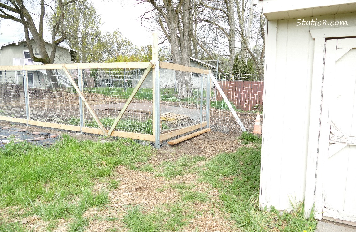 Garden fence