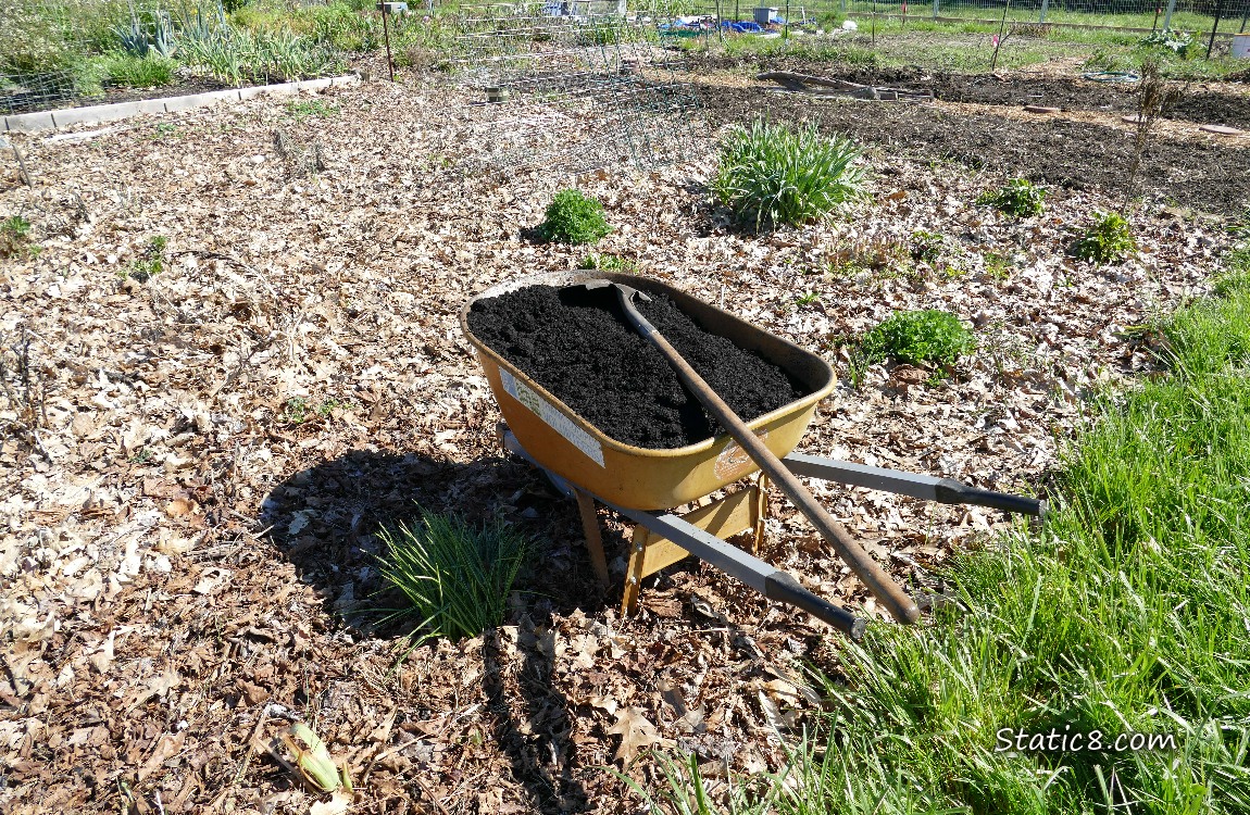 Wheelbarrow filled with dirt at a garden plot
