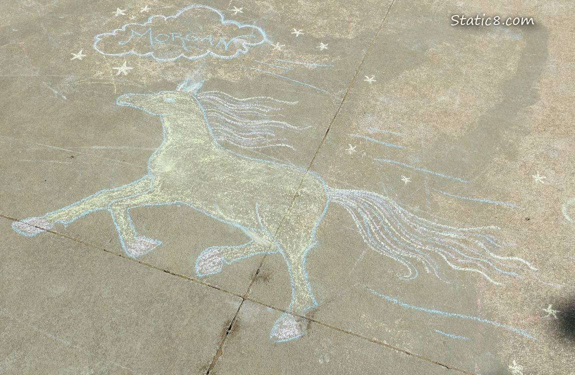Sidewalk chalk drawn horse