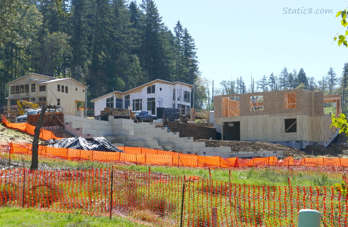 Building houses