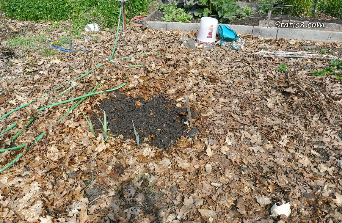 Garden plot
