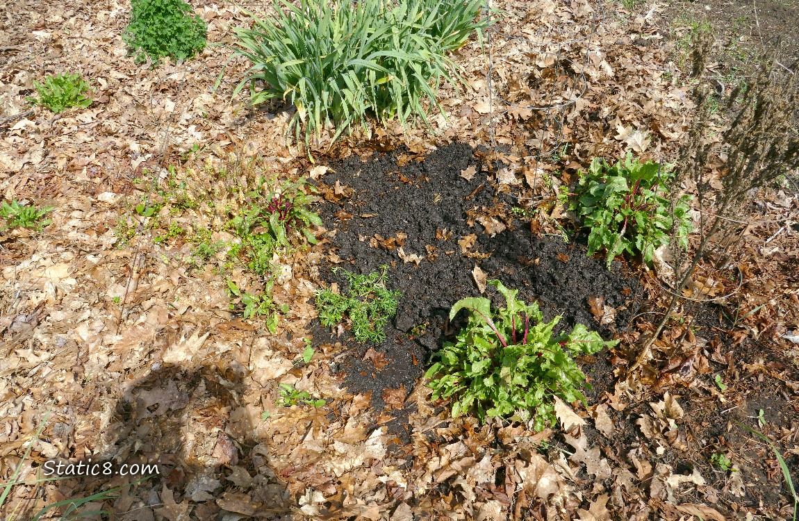 Garden plot