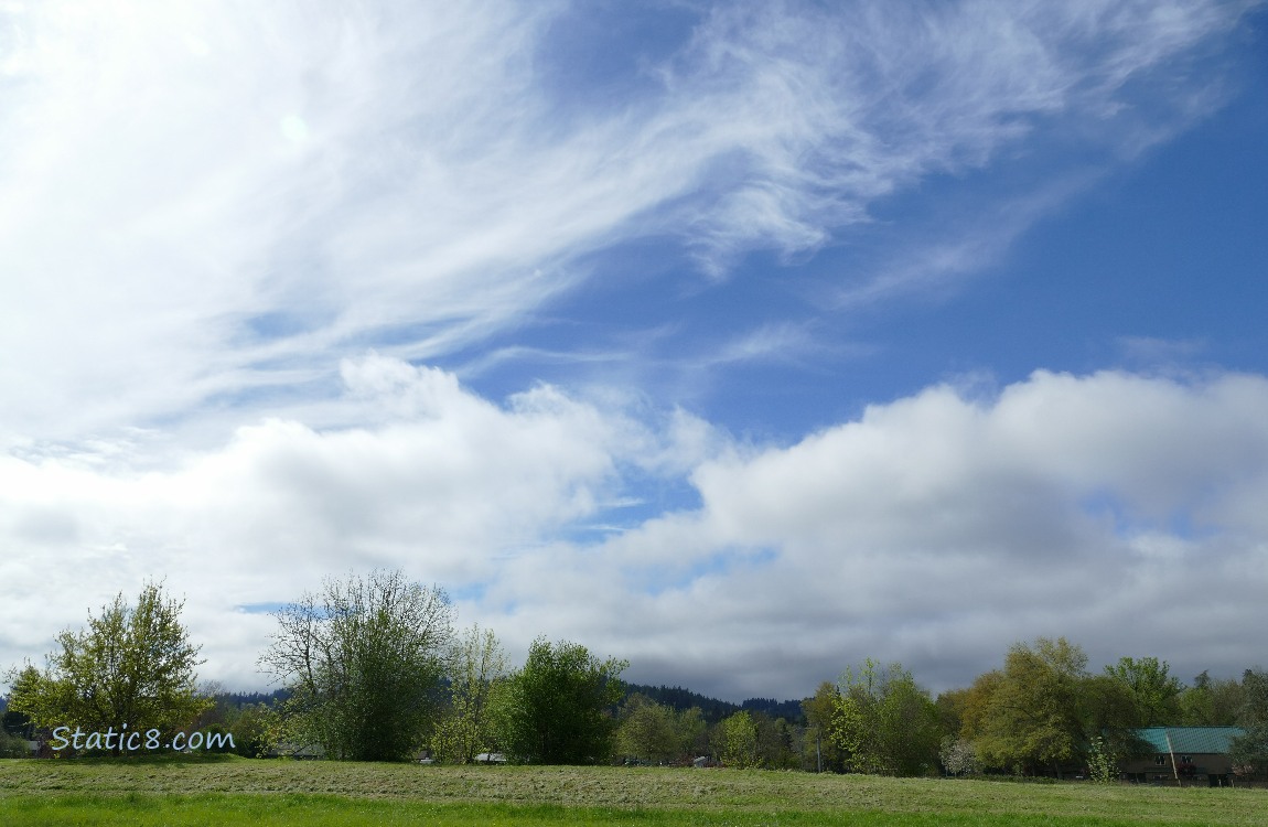 White wispy clouds and a blue sky