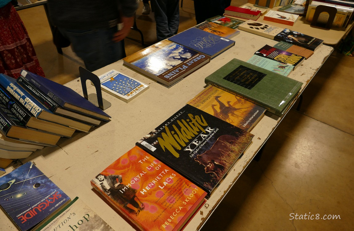 Books spread out on a table