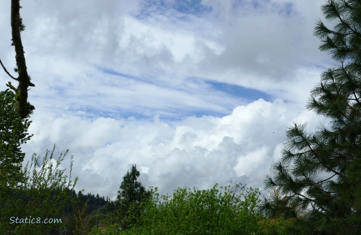 Clouds in the sky