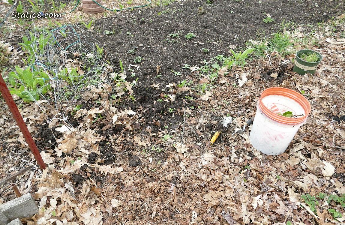 Garden plot
