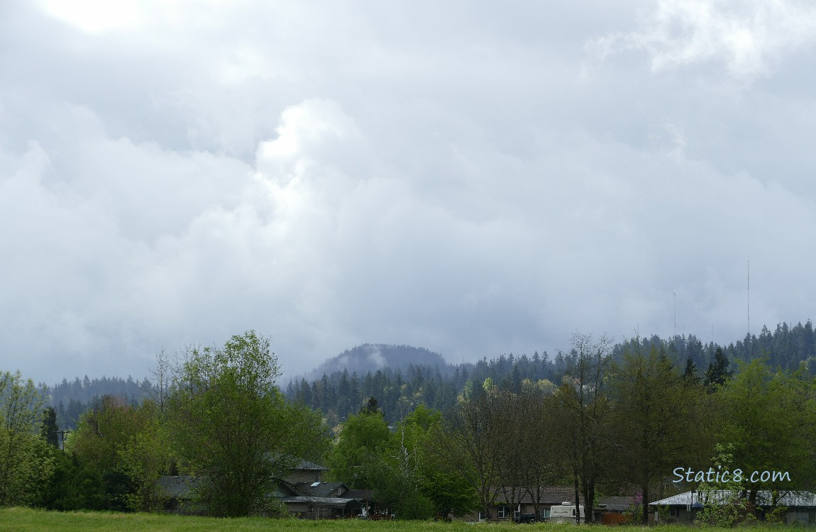 Trees and a hil in the distance, grey clouds above