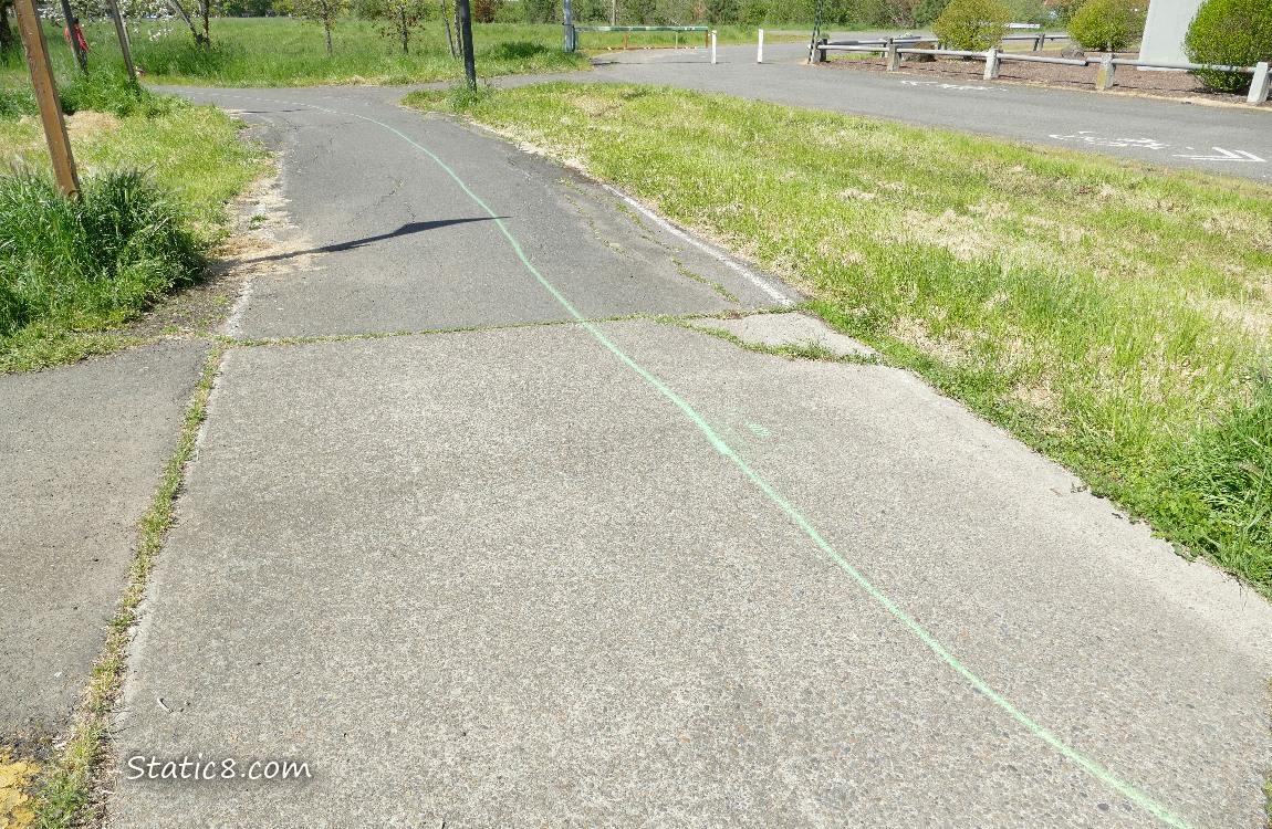Green line spray painted on a sidewalk