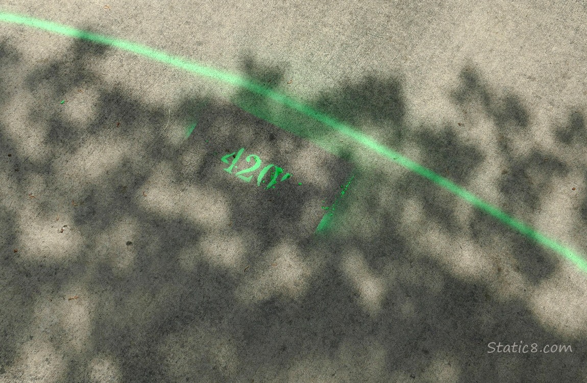 Green line spray painted on the sidewalk with a number, 420