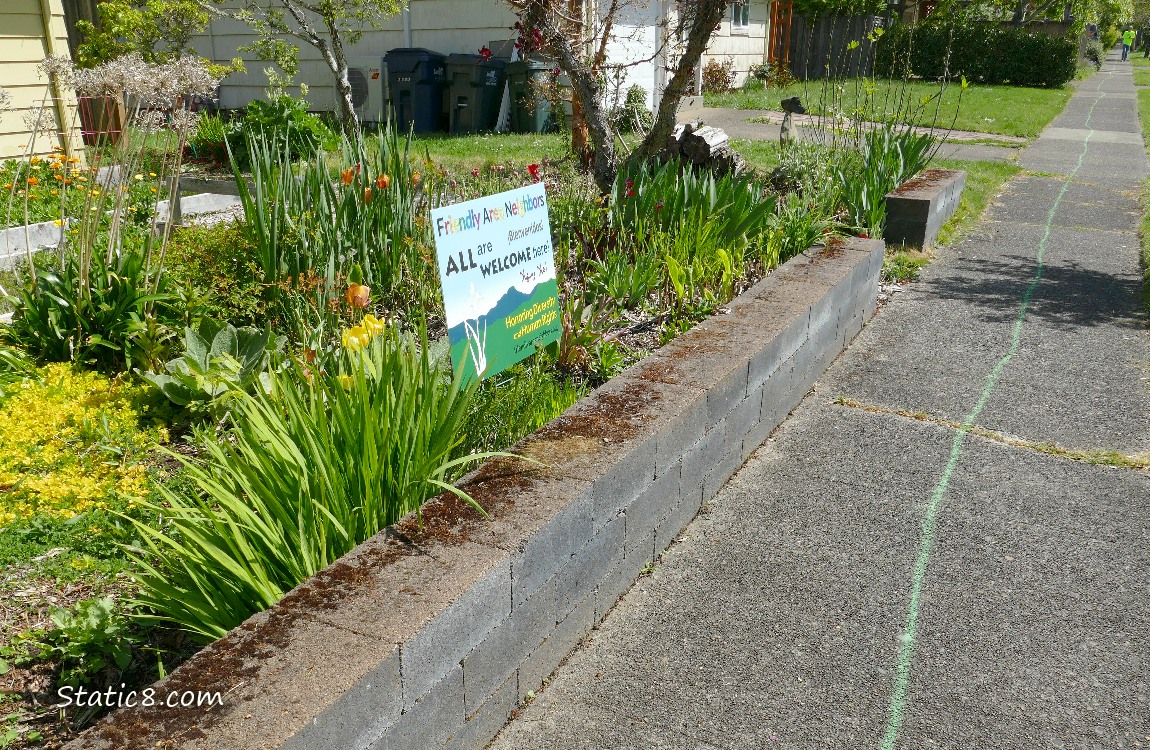 Front yard next to the sidewalk with the green line