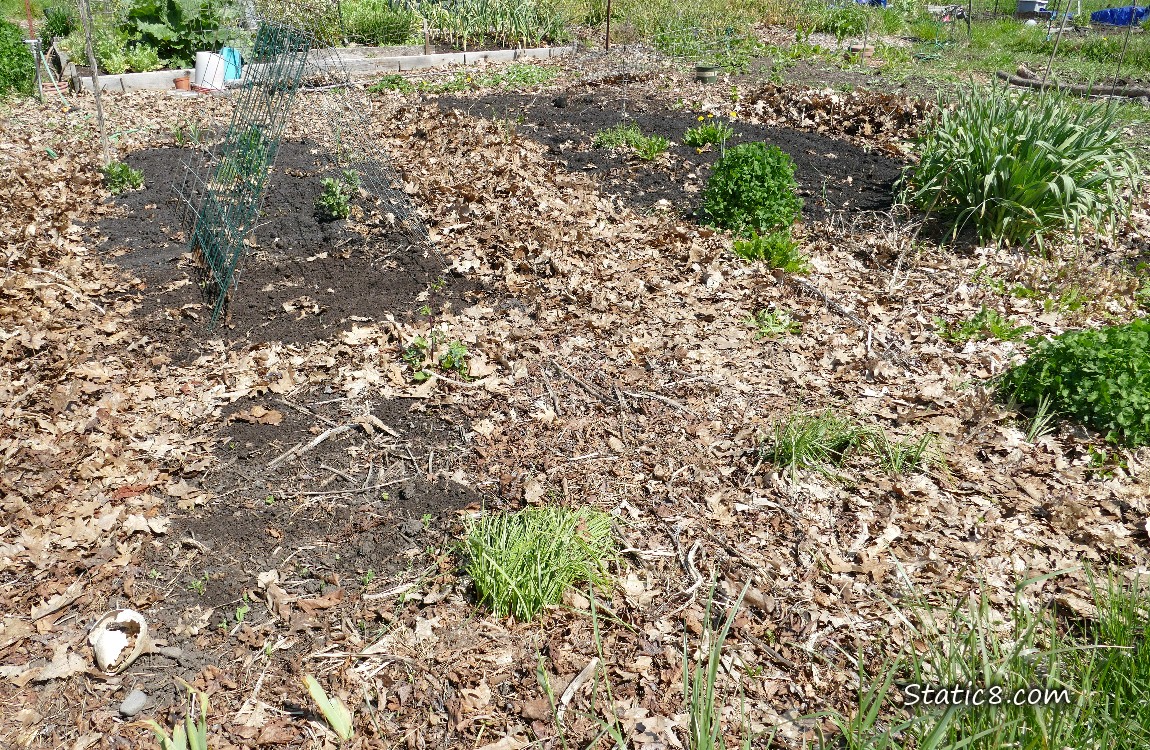 Garden plot