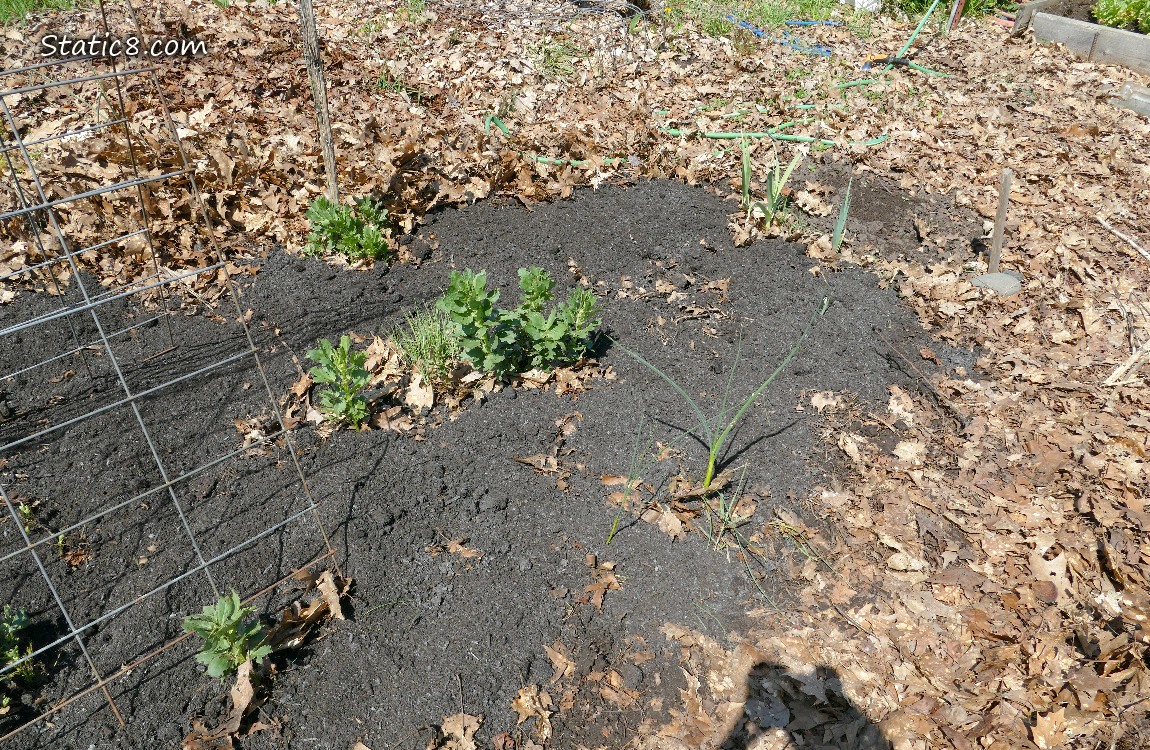 Garden plot