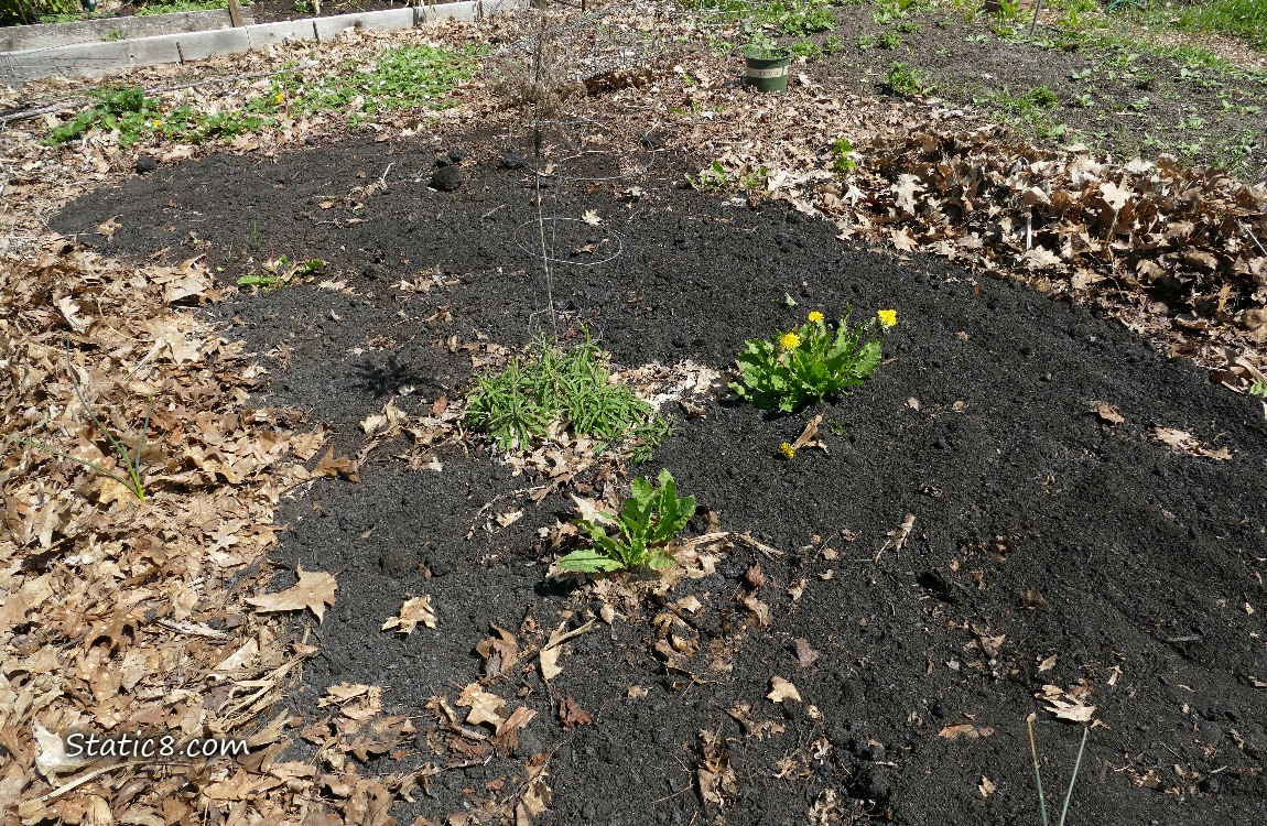 Garden plot