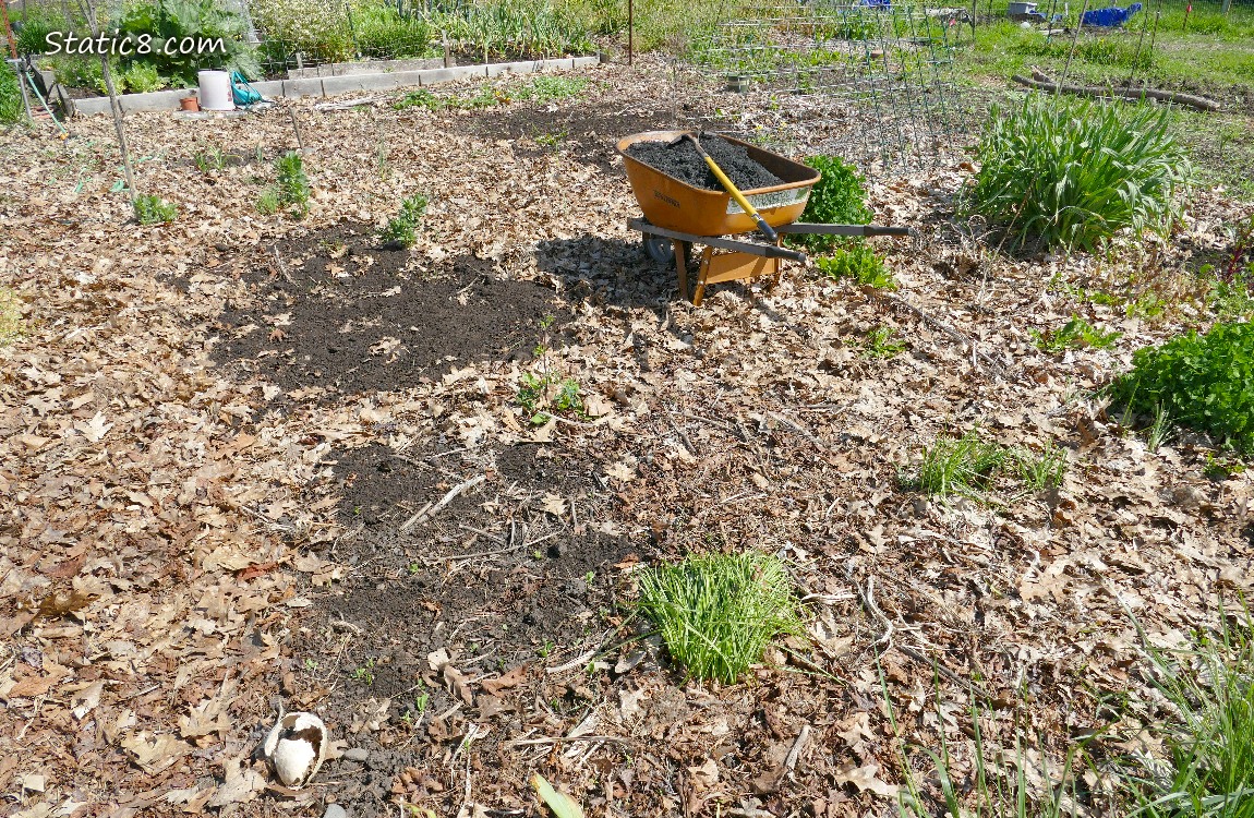 Garden plot covered with leaf mulch with a wheelbarrow filled with dirt