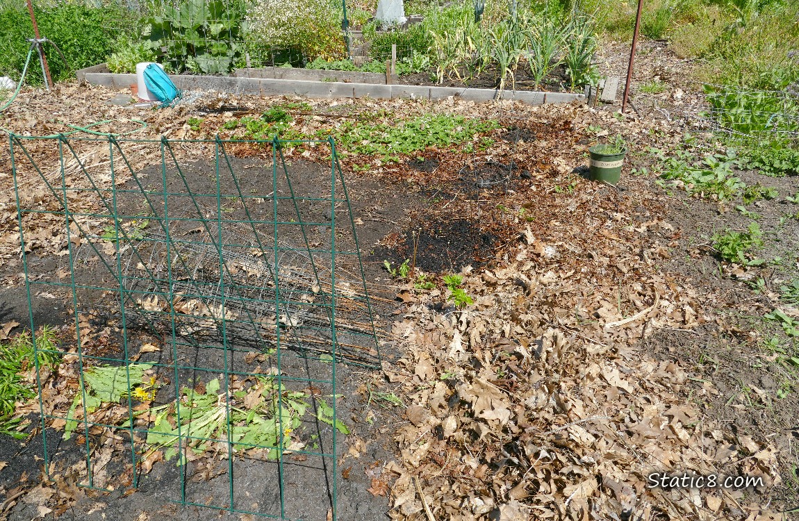 garden plot