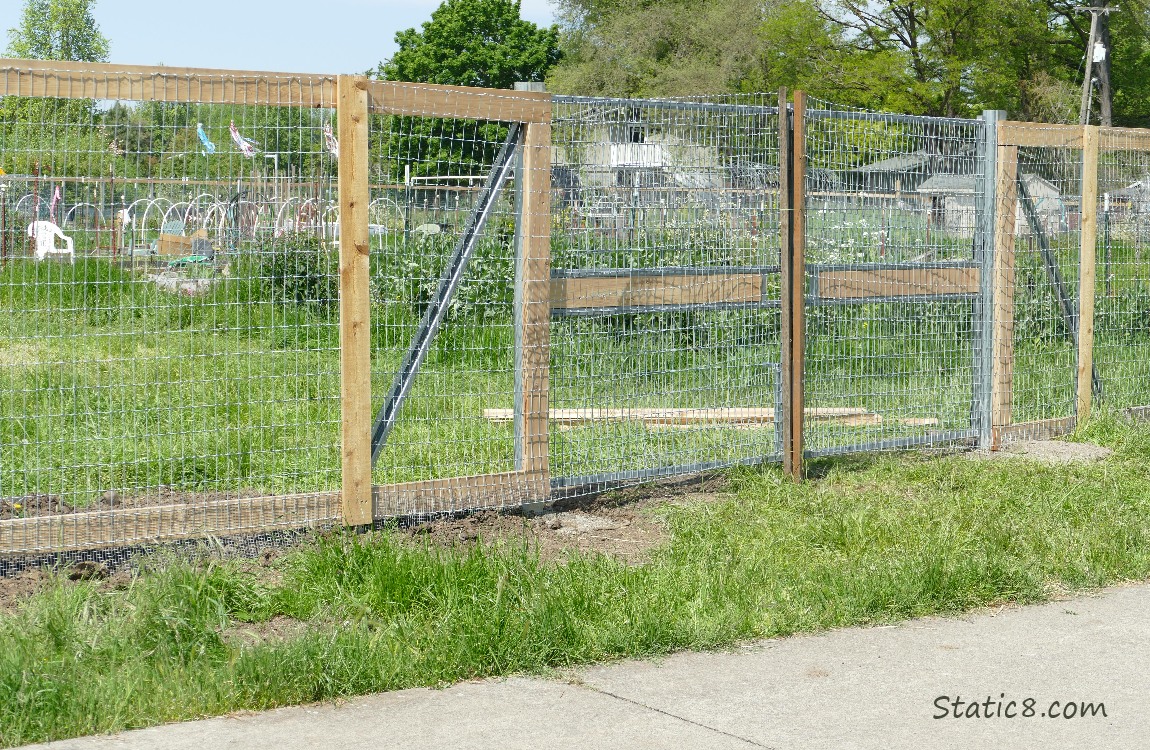 Community Garden fence