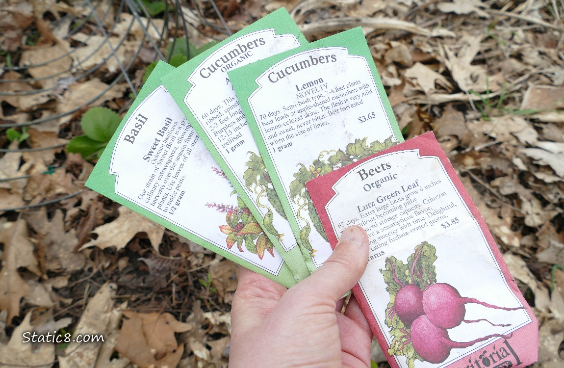Hand holding out seed packets