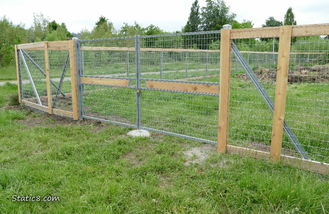 Fence