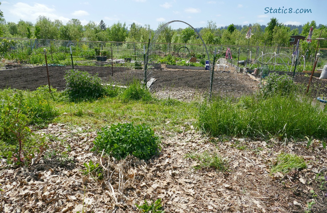Garden plot