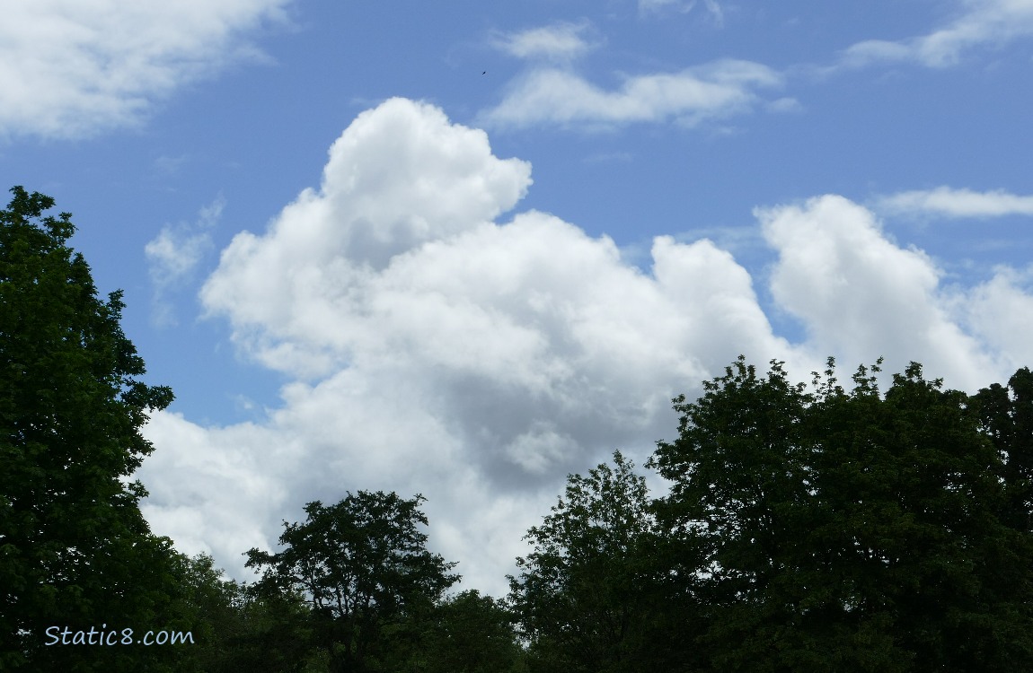 Clouds over the silhouette of trees