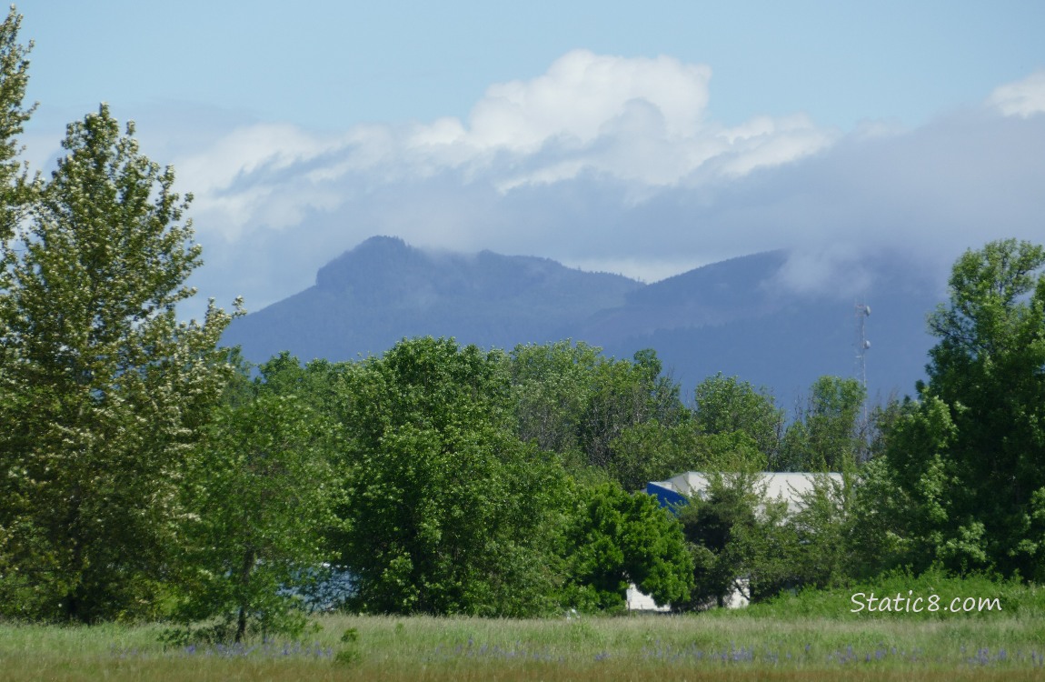 Low clouds on the hill in the distance