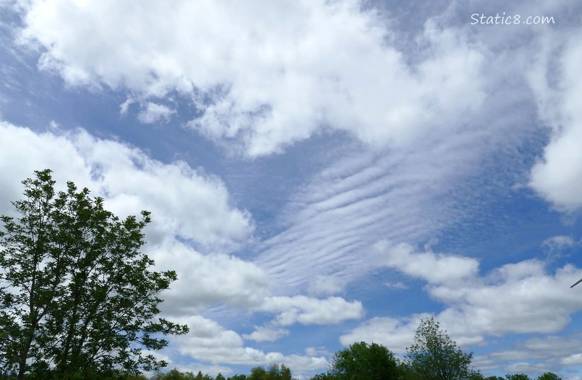 White puffy clouds in a blue sky