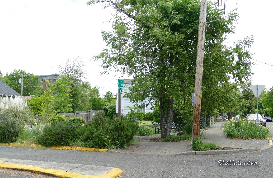 Micropark at a street intersection
