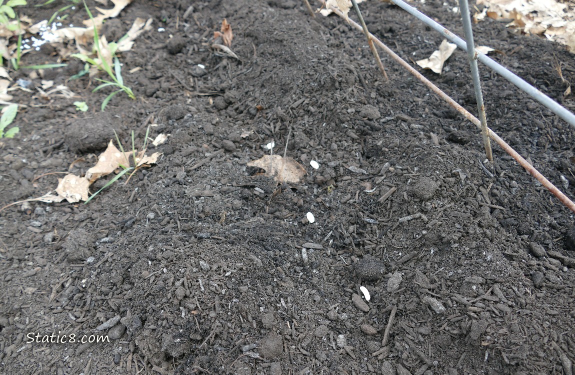 Garden plot