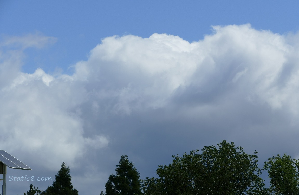 White puffy cloud with blue sky
