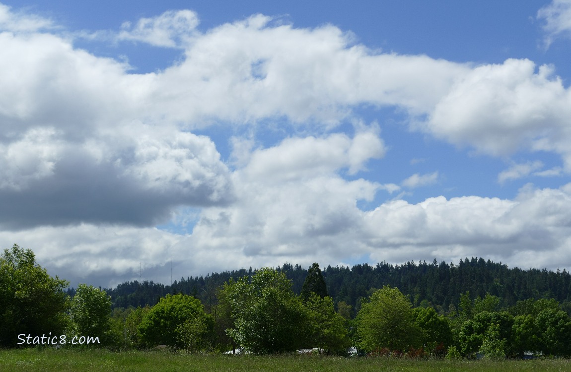 White puffy clouds in a blue sky