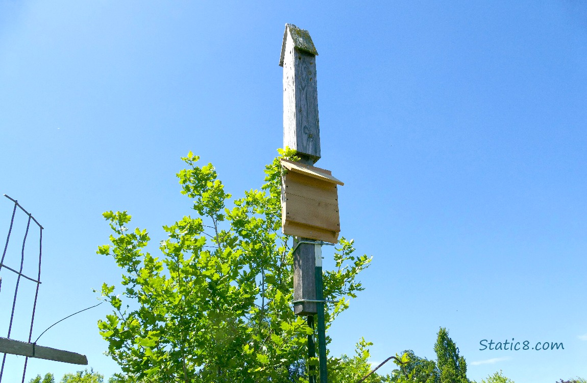 Bat houses