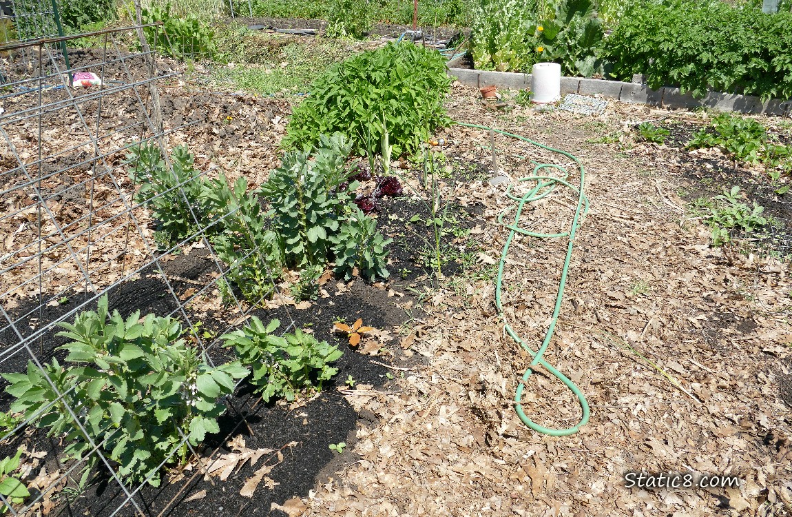 Garden plot